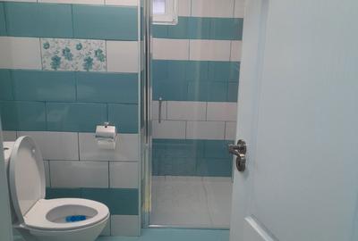 Casă cu 4 camere cu Teren 1400 Mp în Silvașu de Jos - 3