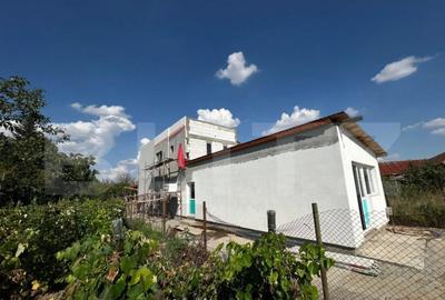 Casa P + 1 de 100 mp utili, cu 300 mp teren in zona Preajba - 1