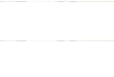 Casă cu 4 camere în Peciu Nou - 2