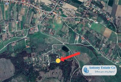 Teren de 1870 mp, în Paleu