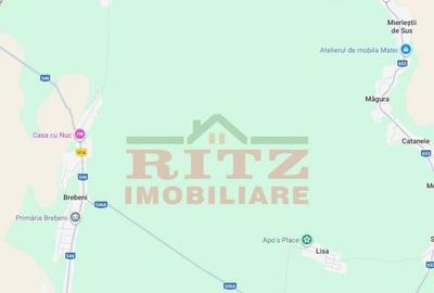 Nou! Terenuri extravilane, 28 hectare, in Brebeni, Olt! - 2