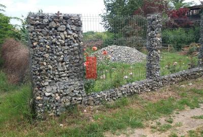 Teren Construcții intravilan de 3000 mp, în Sud - 11