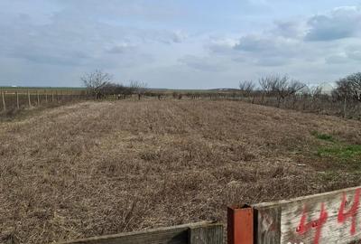 Teren de 5000 mp, în Rubla - 2