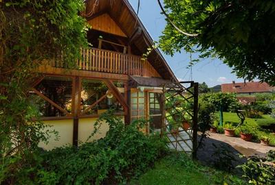 Casa cu 5 dormitoare, foisor, sauna, beci,pod garaj si gradina - 59
