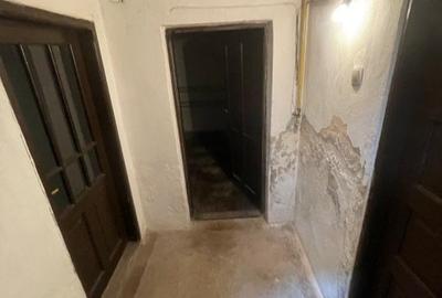 Villa Interblica - Parcul Carol Villa Interblica - Parcul Carol - 37