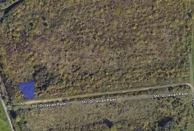 Teren intravilan Plopi Sud - Calea Mosnitei Regim P+2E+M Timisoara - 2