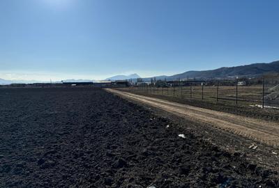 Teren construcții/hale industriale - Se acceptă și variante - 1