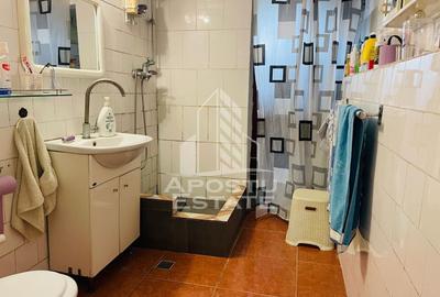 Casă individuală cu 3 camere cu Canalizare în Iratoșu - 12