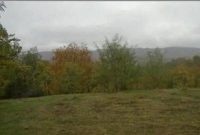 Teren faneata Vizantea Livezi; ID: R2800475 - 8