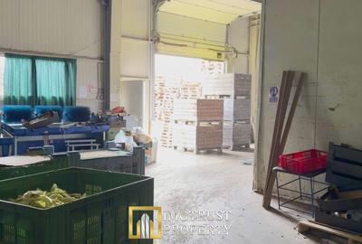 Spațiu industrial, de 540 mp, în Grădiște - 4