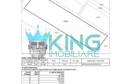 Teren Construcții intravilan de 15000 mp, în Dobroești - 2