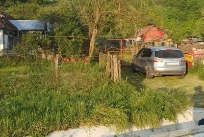 Vand casa cu teren 1 hectar - 2