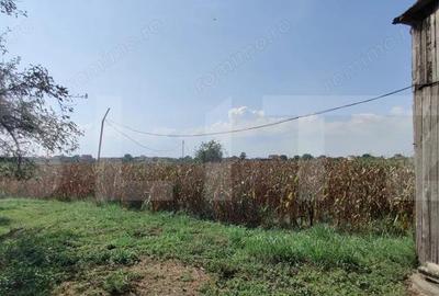 Casa mare cu gospodarie completa Belin?, jude?ul Timi? teren 4.900 mp - 16