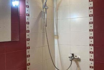 Apartament modest in zona Bartolomeu de inchiriat - 4