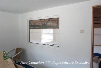 HALA + BIROURI, PARCARE GENEROASA - 10