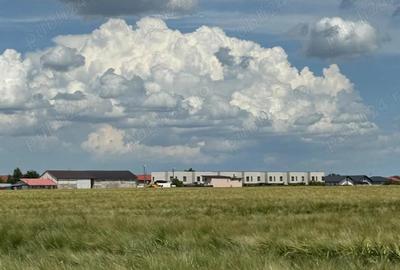 Vanzare Teren Rezidential Cernica Balaceanca 4000mp - 7