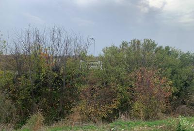 Spațiu comercial, în Săbăreni - 4