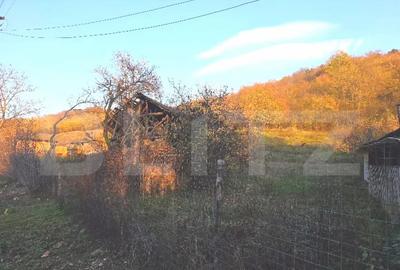 Teren de 3484 mp, în Viforâta - 3