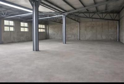 Spațiu comercial, de 300 mp, în Colentina - 1