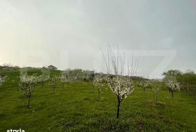 Spațiu comercial, în Pielești - 7