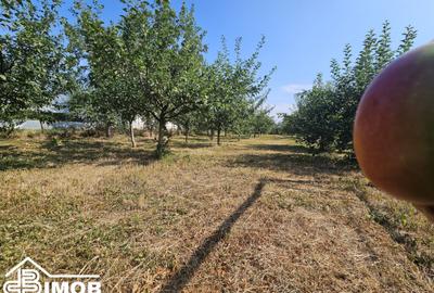 Casa locuibila in localitatea Dobra!! - 10