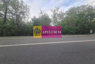 Teren de vânzare în Câmpina - 4