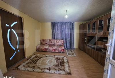 Casă cu 3 camere în Sătmărel - 2