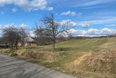 Teren Construcții intravilan de 800 mp, în Central - 1