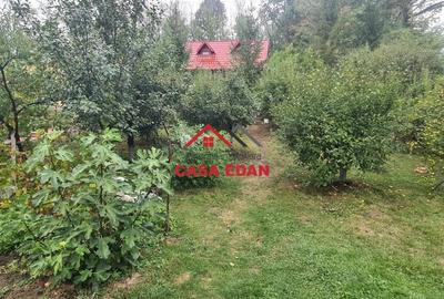 Casă cu 2 camere cu Teren 1403 Mp în Central - 8