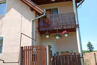 Casă cu 3 camere în Cotuș - 7