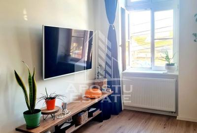 Apartament 2 camere + garsoniera, garaj, renovat complet, Badea Cartan - 7