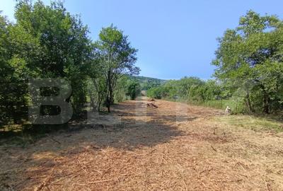 Casa cu 2 camere, 250 mp, zona sud-est Casa cu 2 camere, 250 mp, zona sud-est - 13