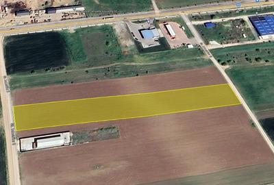 Teren Intravilan - Branesti - Investitie Pentru Hale Industriale - Vanzare - 17