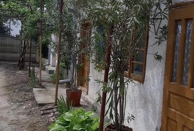 Casa centru Daneti, 80mp, curte si gradina 3.000 mp, apa + curent - 2