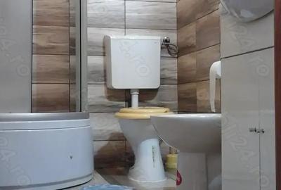 Apartament cu 2 camere la casa in Cristian - 7