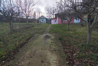 Teren Construcții intravilan de 750 mp, în Bucium - 11