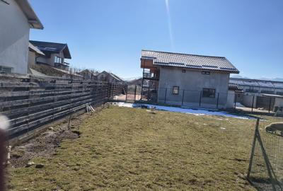 Teren Construcții intravilan de 500 mp, în Tărlungeni - 1