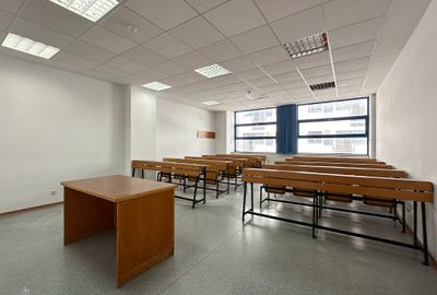 Proprietate specială, de 2,560 mp, în Coiciu - 12