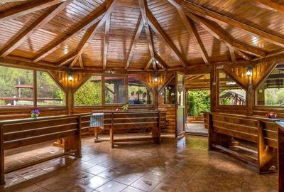 Spațiu comercial, de 719 mp, în Scrind-Frăsinet - 16