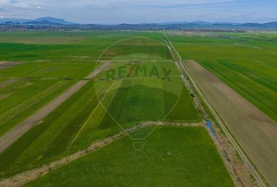 Teren agricol extravilan de 4000 mp, în Stupinii Prejmerului - 17