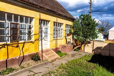 Vand casa in Chesin?, com. Zabrani, jud. Arad 2.376 mp teren - 6