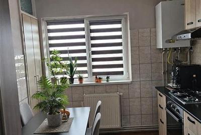 Apartament cu 2 camere decomandat, mobilat în Terezian - 4