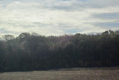 Teghes-Caragea Voda - 3