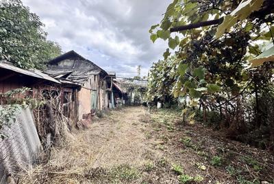 CASUTA DE VANZARE - TEREN 1000 MP - CONTESTI - 9