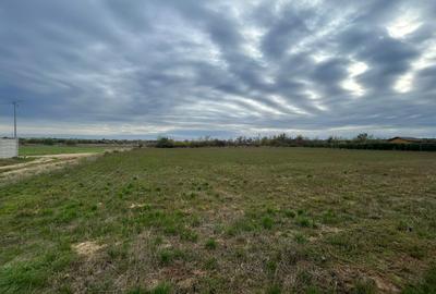 Teren intravilan de 1252 mp, în Piscu - 4