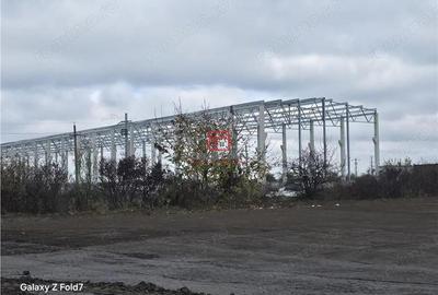 Vanzare depozit hala spatiu industrial Mogosoaia - Buftea - 8