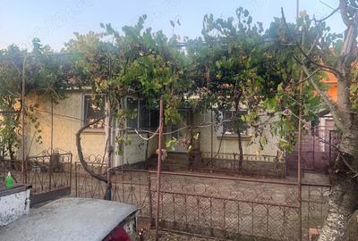 Persoana fizica vand casa inTarian - 2