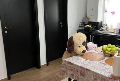 Sanandrei Apartament 3 camere Mobilat si Utilat Et 1 - 11