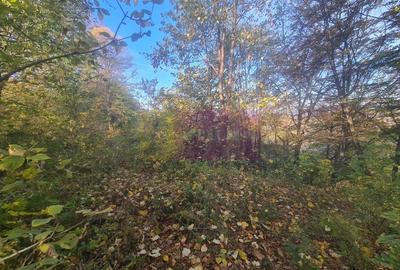 Teren intravilan de vanzare in Telega Teren intravilan de vanzare in Telega - 6