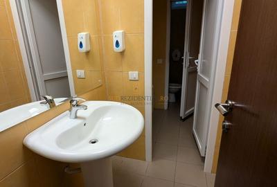 Cladire birouri D+P+4E si hala de productie, Dr.Lunca Cetatii, Sect.3 - 12